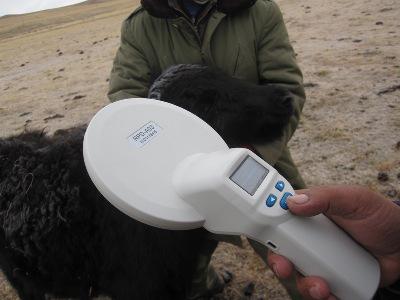 圖5 芯片成功掃描，芯片植入成功